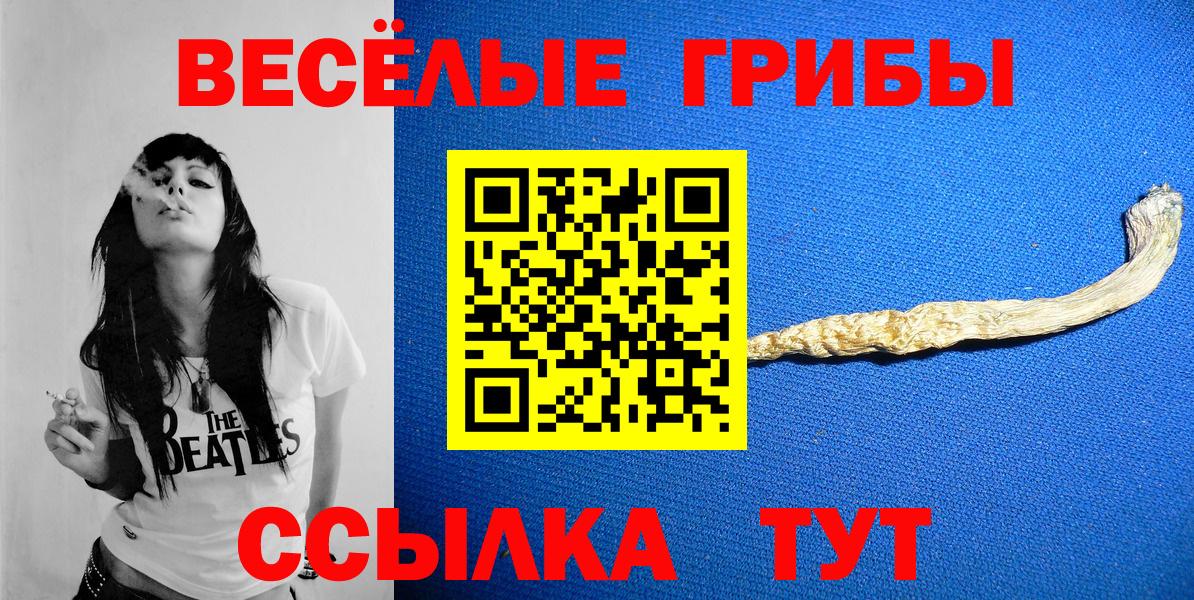 Галлюциногенные грибы мухоморы Мичуринск